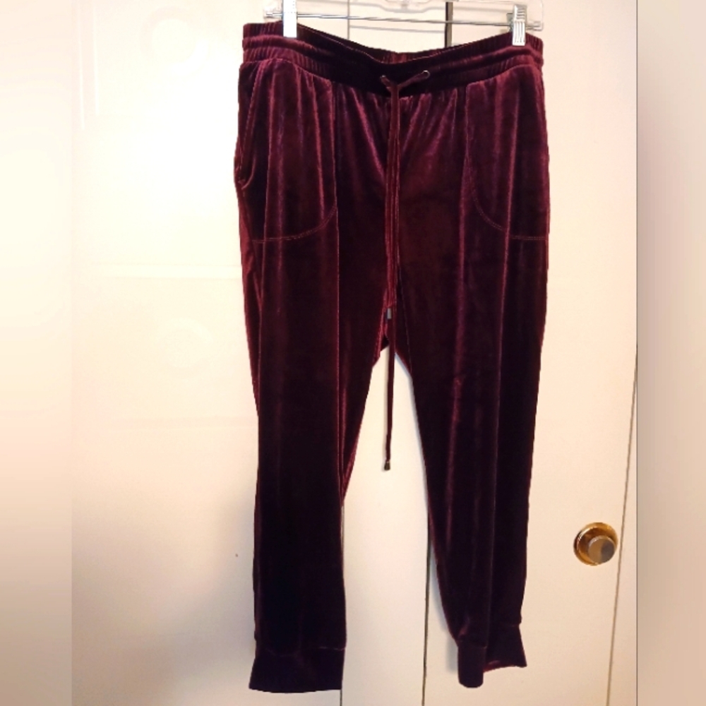 NWT Torrid Purple Velour Pants Stretch Velvet Pull On Elastic Waist Size 1 14/16
